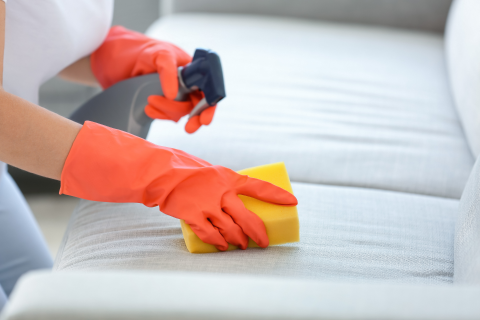 Carpet Upholstery Cleaning Service