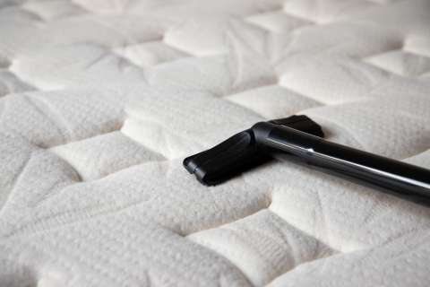 Carpet Upholstery Cleaning Service