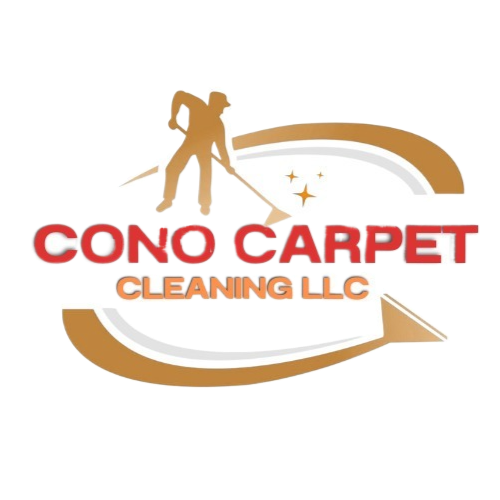 Carpet Cleaning Service Home Rug and Mattress Cleaning