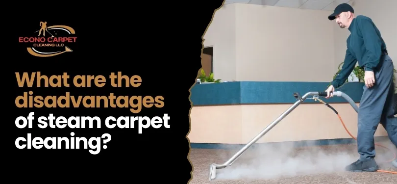 What is Steam Carpet Cleaning