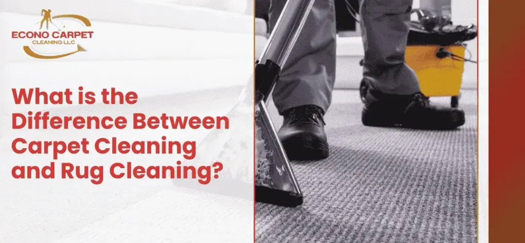 Difference Between Carpet Cleaning