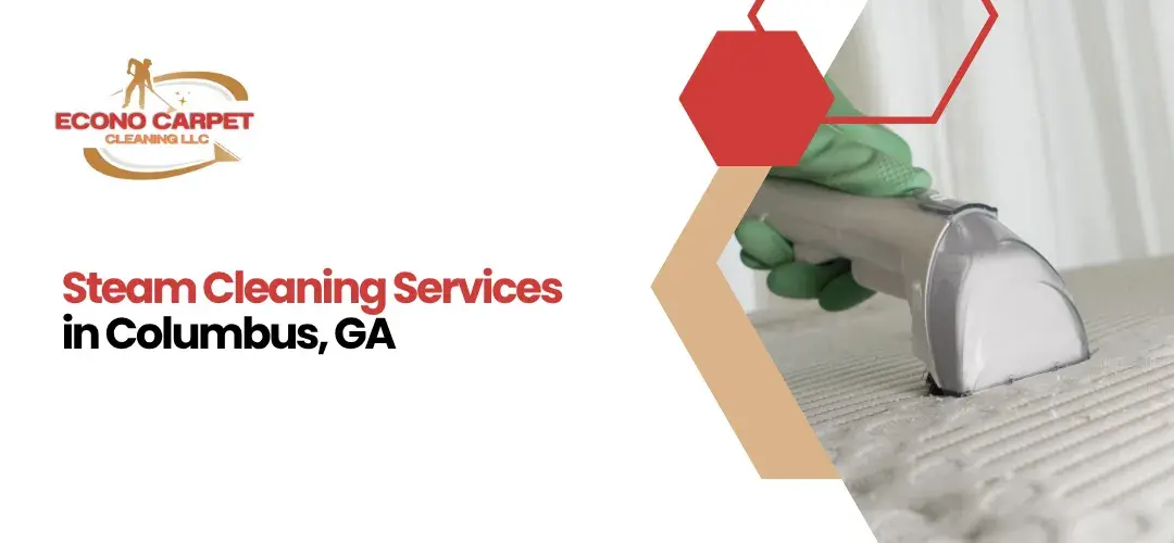 Read more about the article Carpet Steam Cleaner Columbus GA