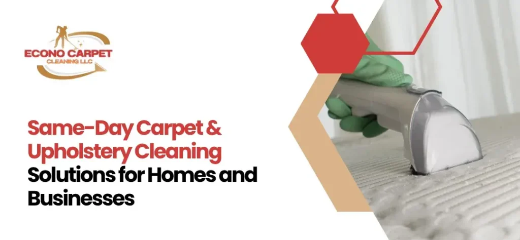 carpet and upholstery cleane