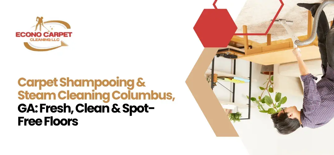 Read more about the article Best Shampoo Carpet Cleaner Columbus GA
