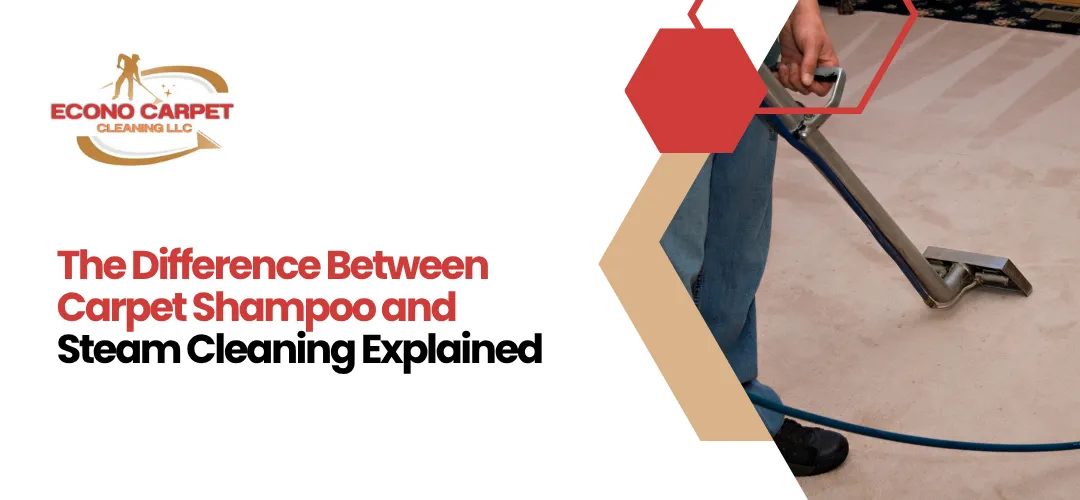 Read more about the article Difference Carpet Shampoo and Steam Cleaning