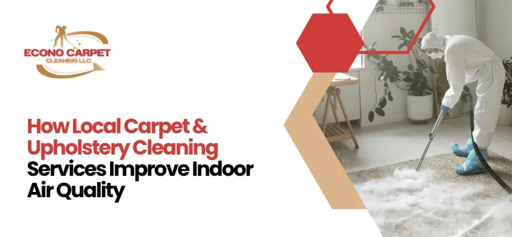 Local carpet cleaners