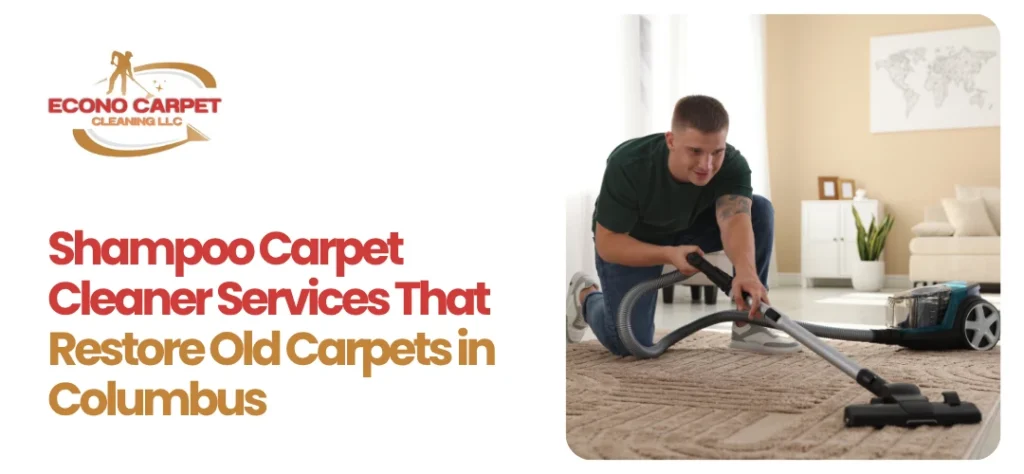 Shampoo Carpet Cleaner Services